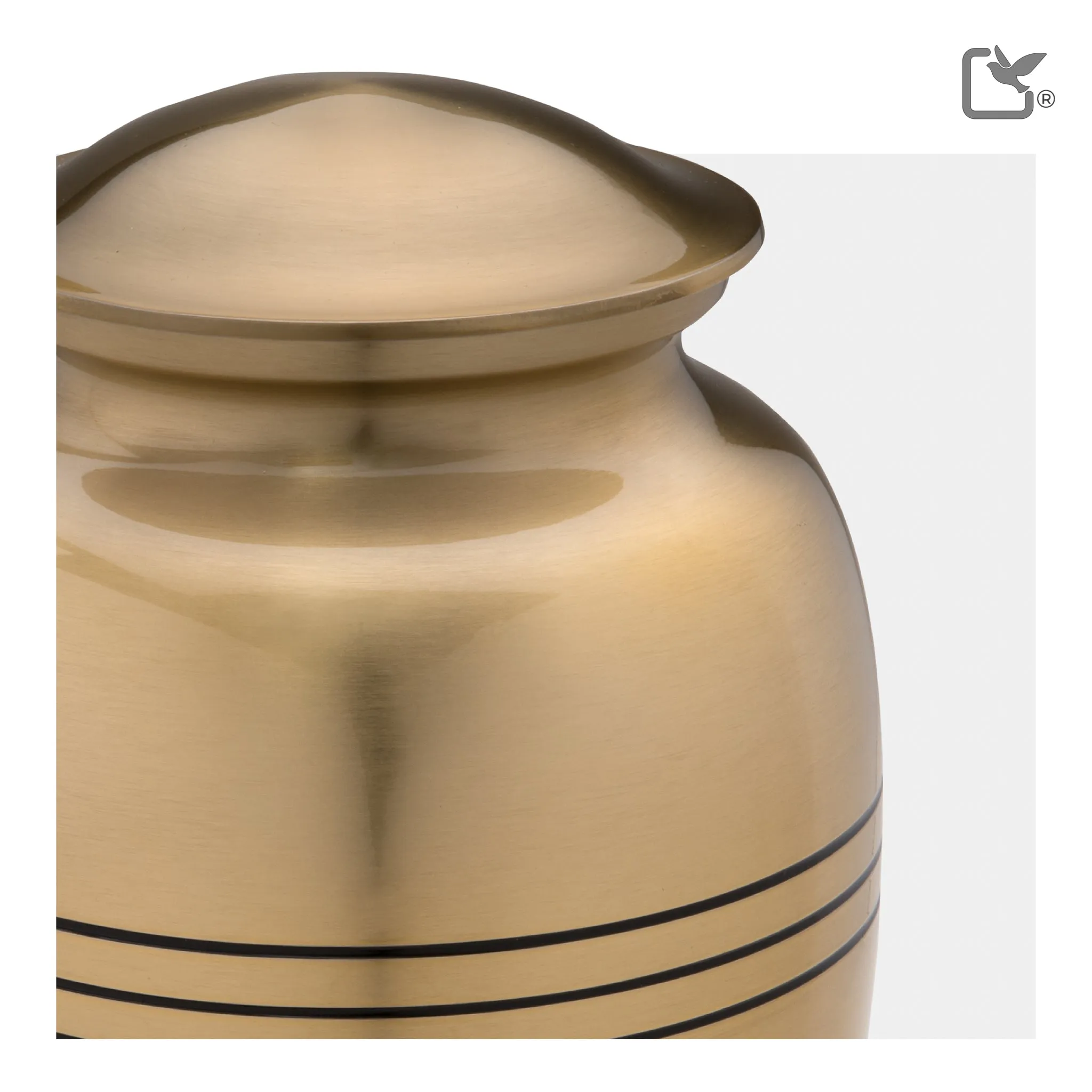 Adult Radiance Gold Cremation Urn - COMFORT by LoveUrns