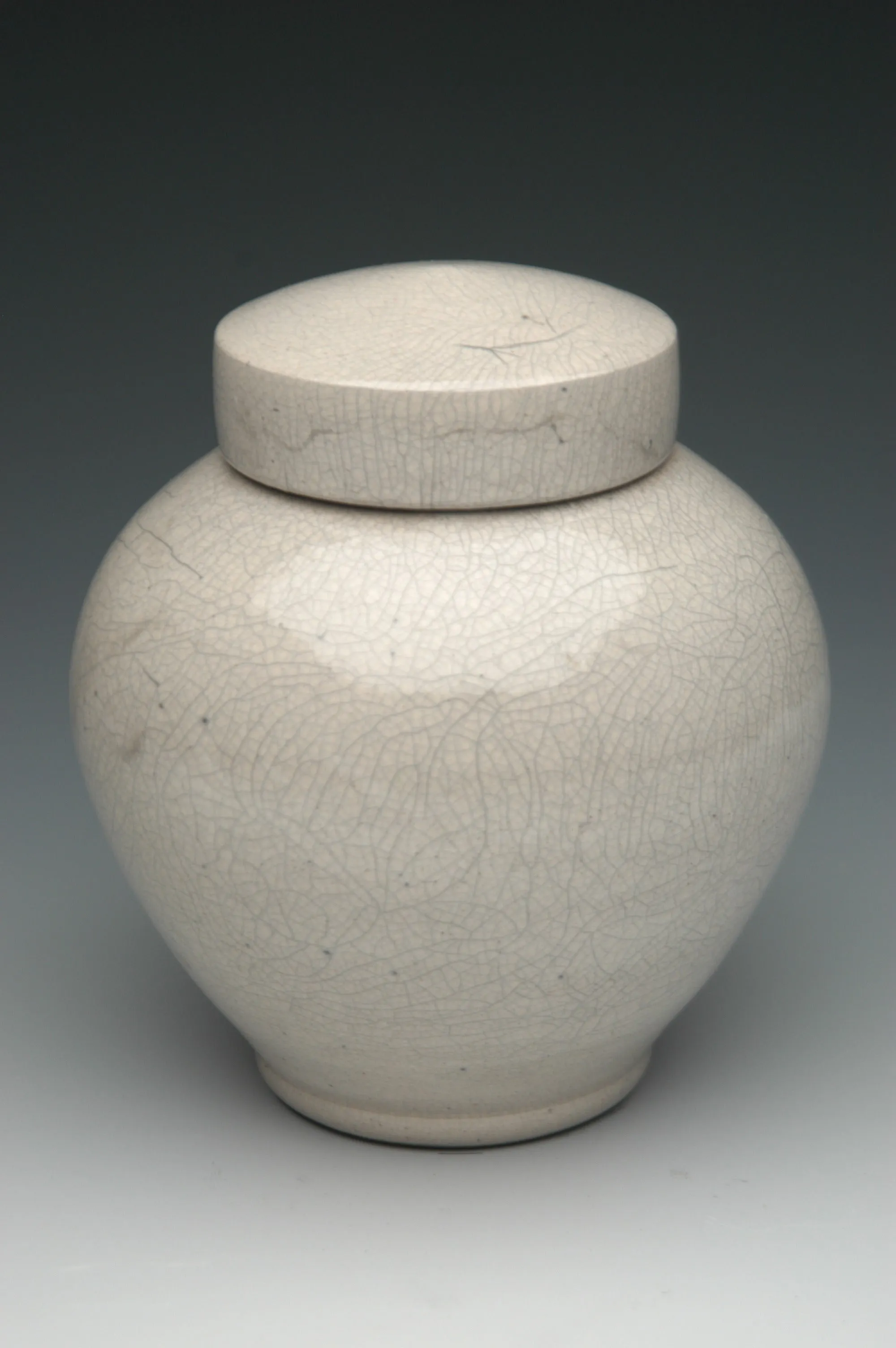 Handmade Celestial Raku Ceramic Cremation Urn