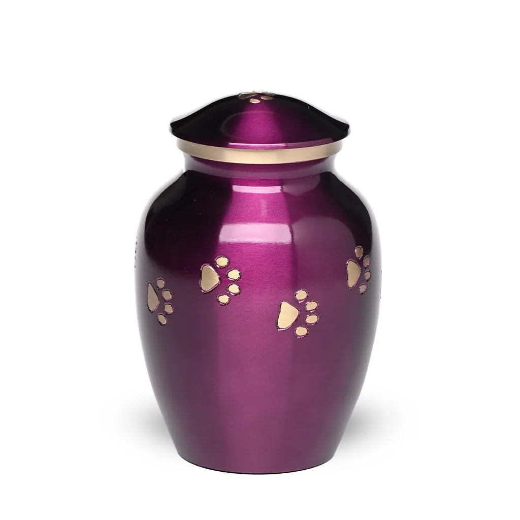 MEDIUM Brass Pet Urn - "Forever Paw"
