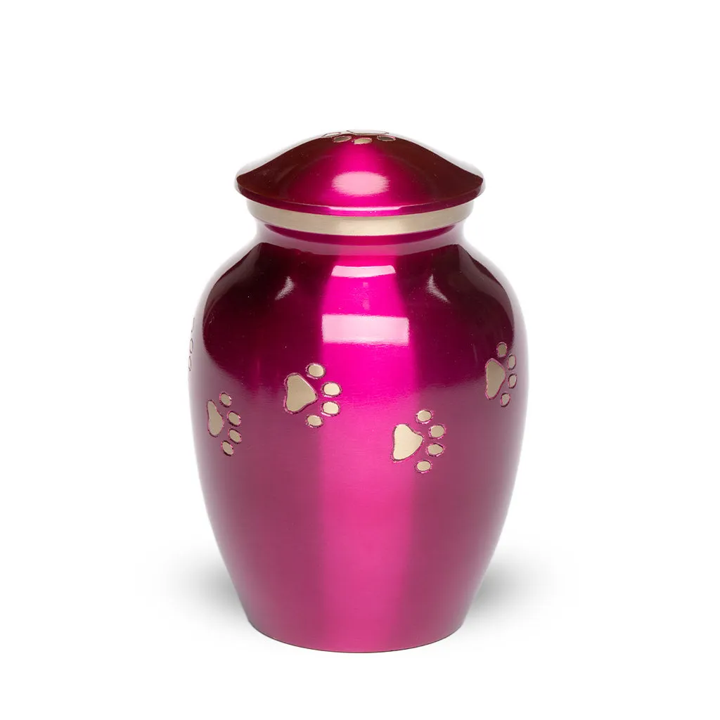 MEDIUM Brass Pet Urn - "Forever Paw"