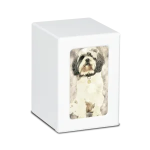 MEDIUM PY06 -White- Shih Tzu