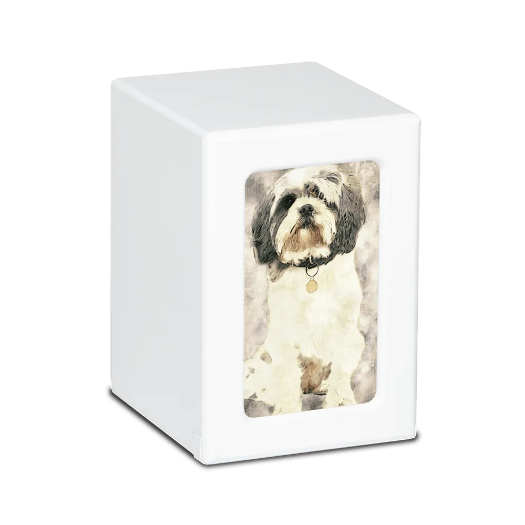 MEDIUM PY06 -White- Shih Tzu