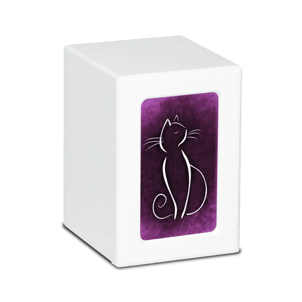 MEDIUM PY06 -White- White Cat / Colorful Backgrounds
