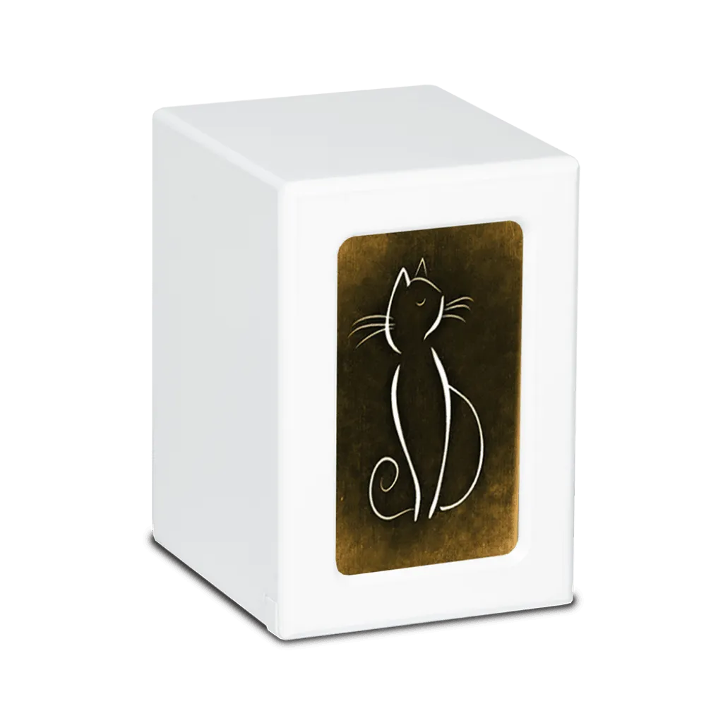 MEDIUM PY06 -White- White Cat / Colorful Backgrounds