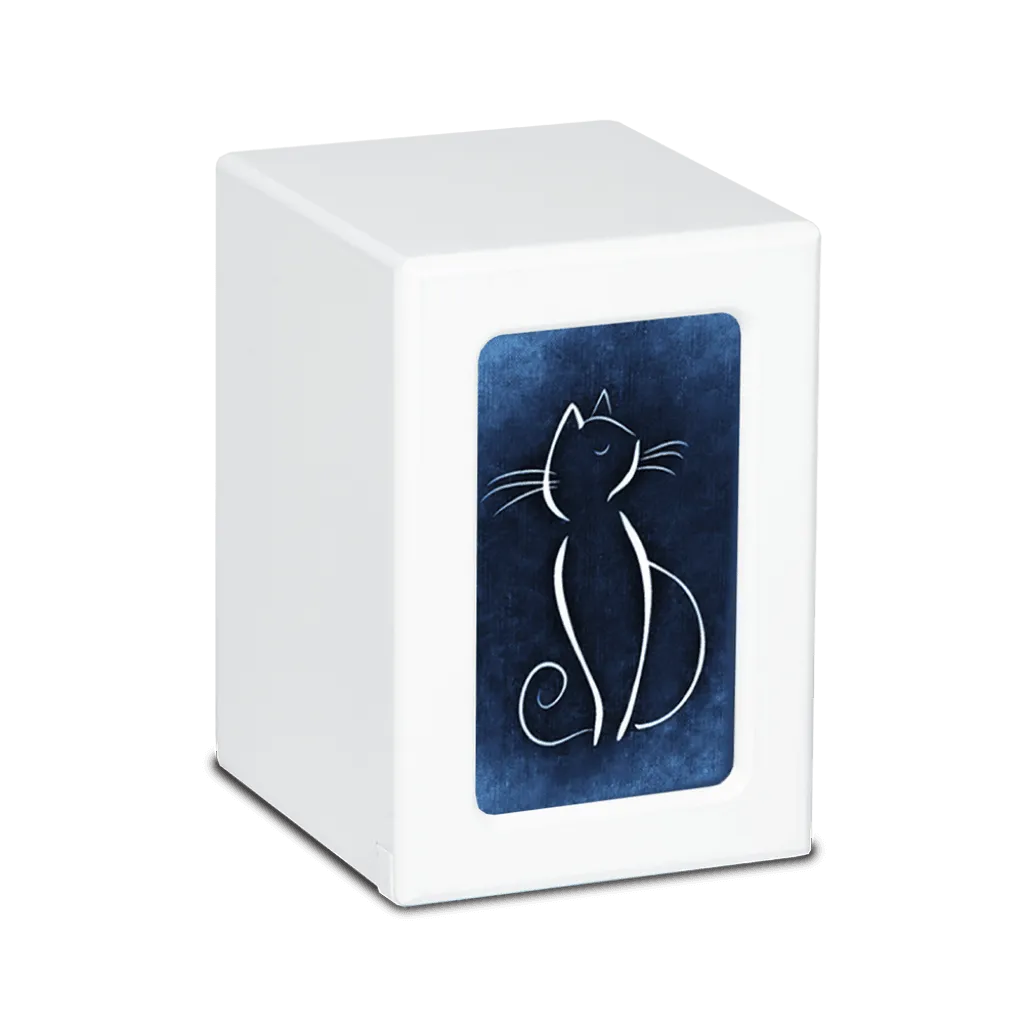 MEDIUM PY06 -White- White Cat / Colorful Backgrounds