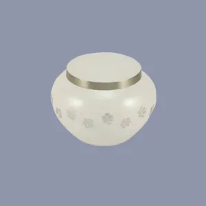 Odyssey Pearl Paw Cremation Urn | Petite | Size For Dog or Cat | Holds up to a 25# Pet