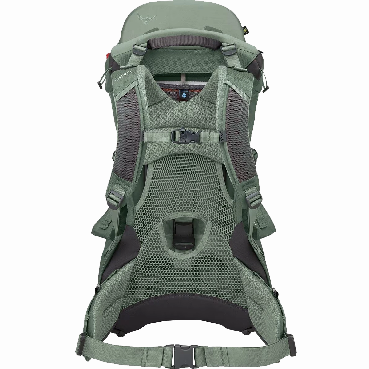 Poco Child Carrier
